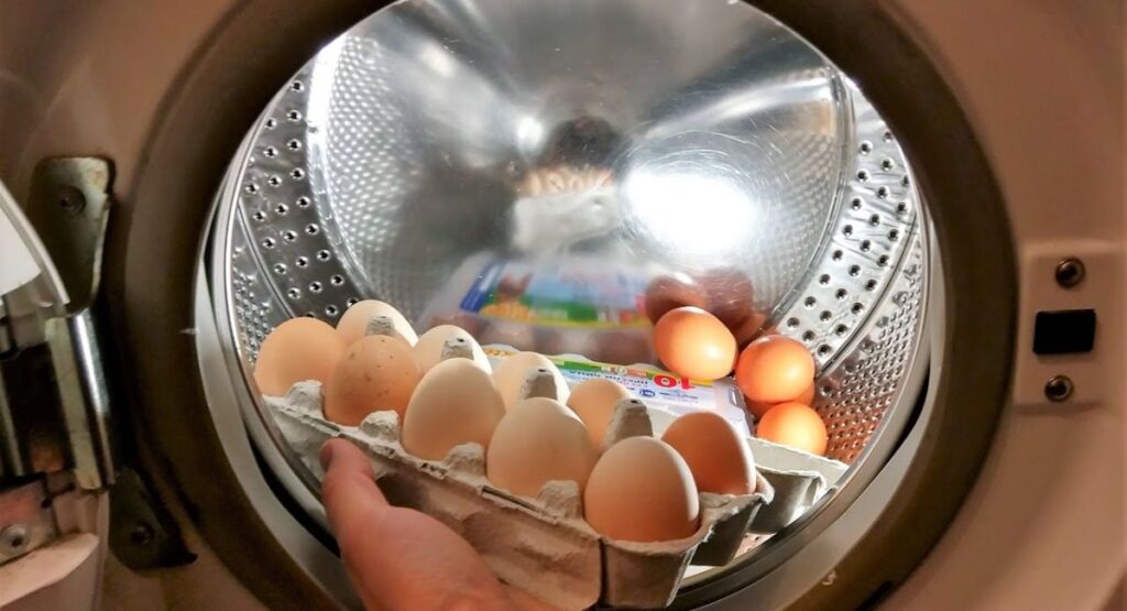 Egg Washing Machine